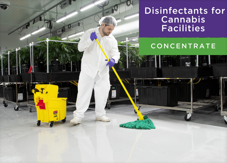 SHYIELD® Disinfectants – Concentrate