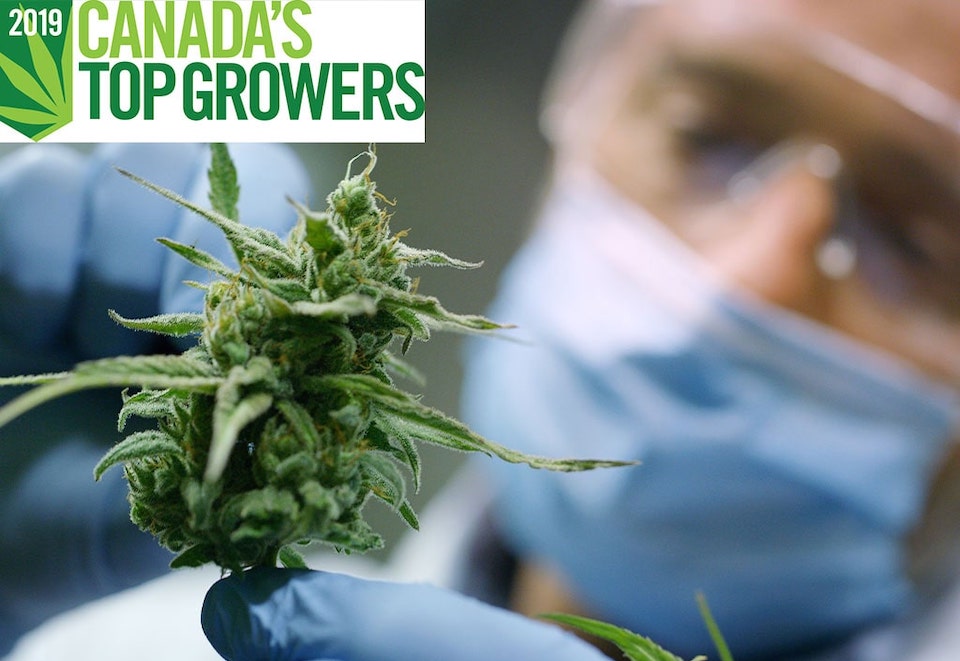 The search is on for the first annual Canada’s Top Growers in the cannabis industry